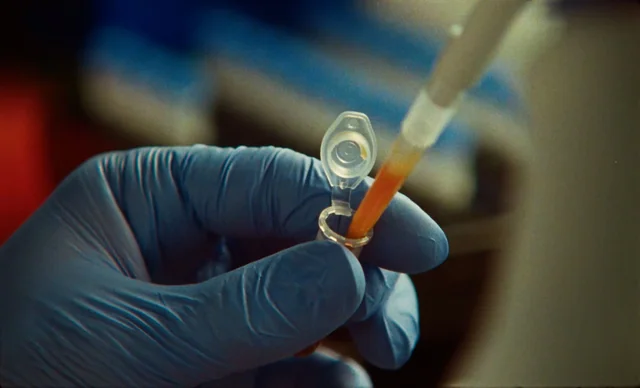 A researcher wearing gloves uses a pipette in a laboratory